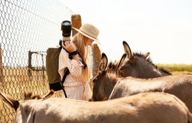 Female Tourist with Donkeys in Wildlife Sanctuary Family-Friendly Private Sightseeing Activities Rock Adventures body