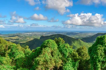 mount obama antigua Why You Should Add Mount Obama Hike to Your Antigua Itinerary feature