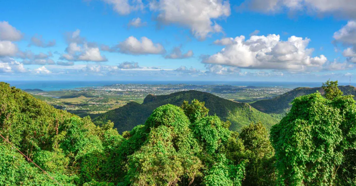 mount obama antigua Why You Should Add Mount Obama Hike to Your Antigua Itinerary feature